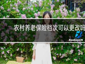 农村养老保险档次可以更改吗