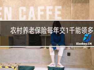 农村养老保险每年交1千能领多少