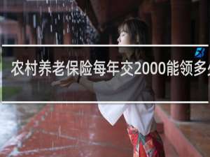 农村养老保险每年交2000能领多少钱