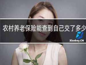 农村养老保险能查到自己交了多少钱吗