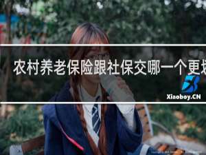 农村养老保险跟社保交哪一个更划算