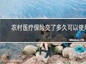 农村医疗保险交了多久可以使用