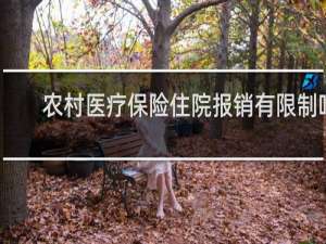 农村医疗保险住院报销有限制吗
