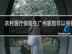 农村医疗保险在广州医院可以报销吗