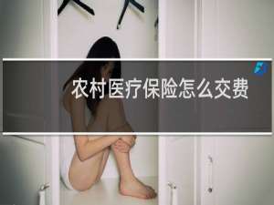 农村医疗保险怎么交费