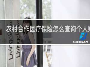 农村合作医疗保险怎么查询个人账户