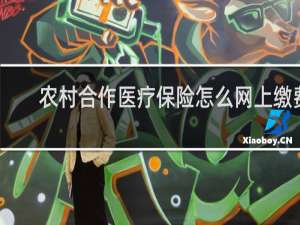 农村合作医疗保险怎么网上缴费