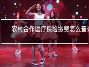 农村合作医疗保险缴费怎么查询