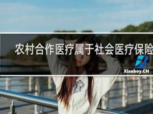 农村合作医疗属于社会医疗保险吗