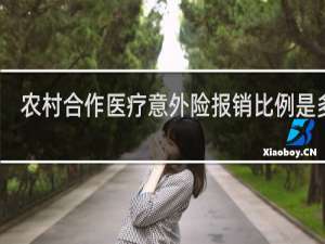 农村合作医疗意外险报销比例是多少