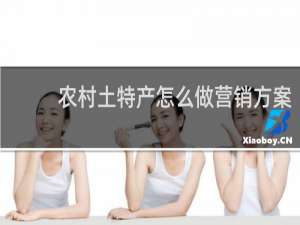 农村土特产怎么做营销方案