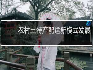 农村土特产配送新模式发展