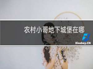 农村小哥地下城堡在哪