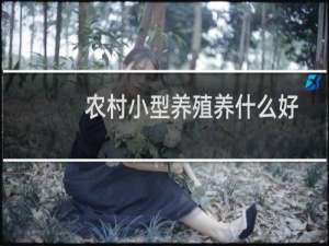 农村小型养殖养什么好