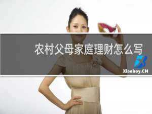 农村父母家庭理财怎么写