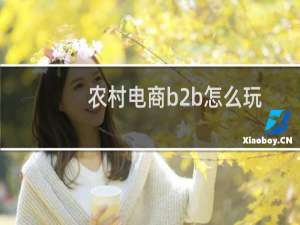 农村电商b2b怎么玩