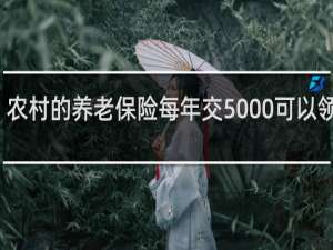 农村的养老保险每年交5000可以领多少