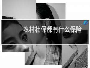 农村社保都有什么保险