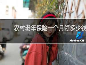 农村老年保险一个月领多少钱
