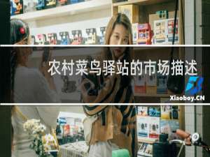 农村菜鸟驿站的市场描述