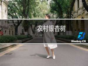 农村银杏树