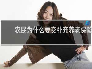 农民为什么要交补充养老保险