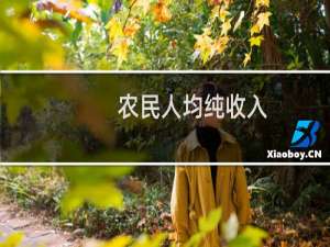 农民人均纯收入