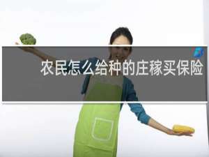 农民怎么给种的庄稼买保险