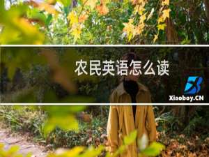 农民英语怎么读