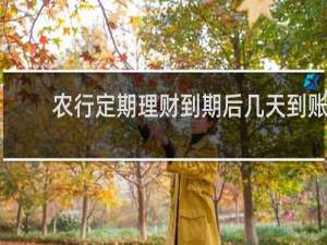 农行定期理财到期后几天到账