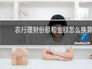 农行理财份额和金额怎么换算
