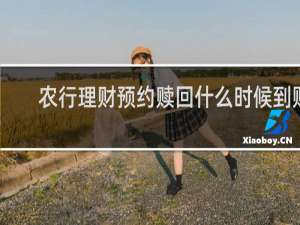 农行理财预约赎回什么时候到账