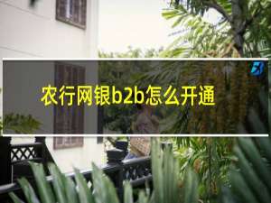 农行网银b2b怎么开通