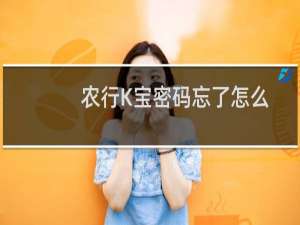 农行K宝密码忘了怎么办?
