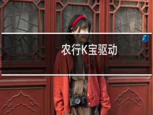 【农行K宝驱动：天地融二代】免费农行K宝驱动：天地融二代软件下载