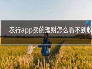 农行app买的理财怎么看不到收益