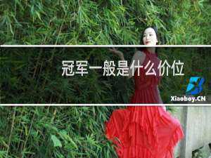 冠军一般是什么价位