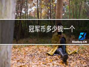 冠军币多少钱一个