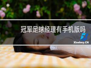 冠军足球经理有手机版吗