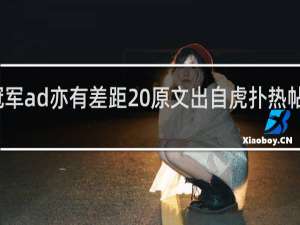 冠军ad亦有差距 原文出自虎扑热帖什么梗
