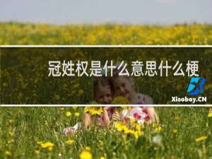 冠姓权是什么意思什么梗