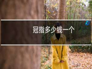 冠指多少钱一个