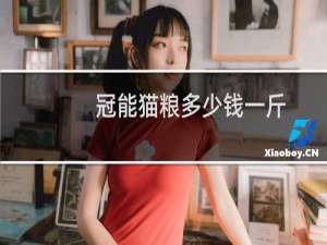 冠能猫粮多少钱一斤