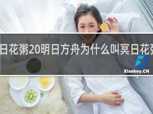 冥日花粥 明日方舟为什么叫冥日花粥什么梗