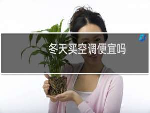 冬天买空调便宜吗