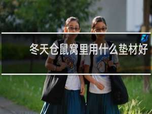 冬天仓鼠窝里用什么垫材好