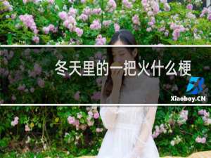 冬天里的一把火什么梗