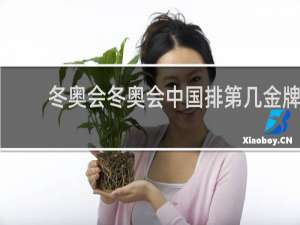 冬奥会冬奥会中国排第几金牌