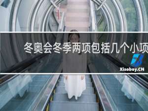 冬奥会冬季两项包括几个小项