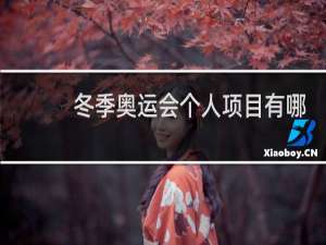 冬季奥运会个人项目有哪些